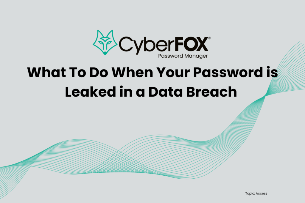 Blog Category Access What To Do When Your Password is Leaked in a Data Breach