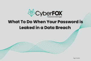 Blog Category Access What To Do When Your Password is Leaked in a Data Breach