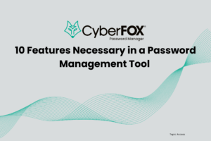 Blog Category Access 10 Features Necessary in a Password Management Tool (1)
