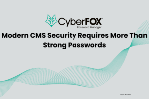 Blog Category Access Modern CMS Security Requires More Than Strong Passwords